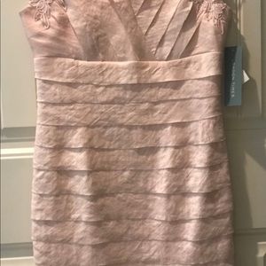 Brand New, Never Worm Pale, Pink Dress.